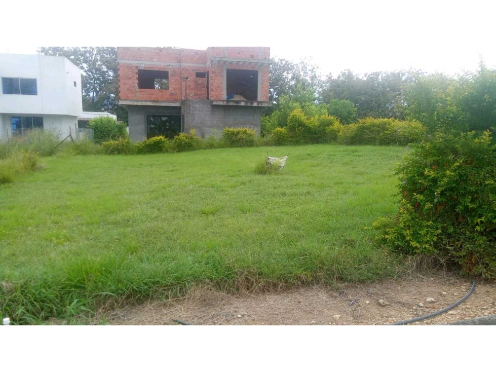 Se vende lote Carmen de apicala - 2