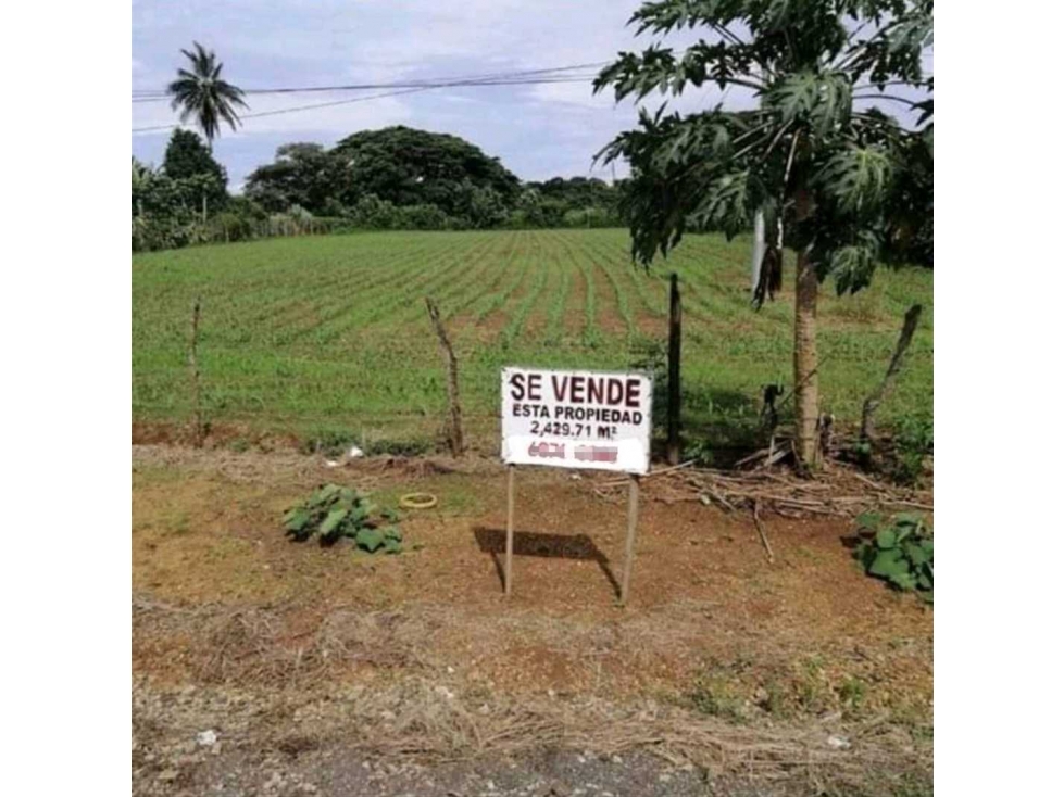 Se vende lote carretera nacional via Las Tablas - Los Santos - 2