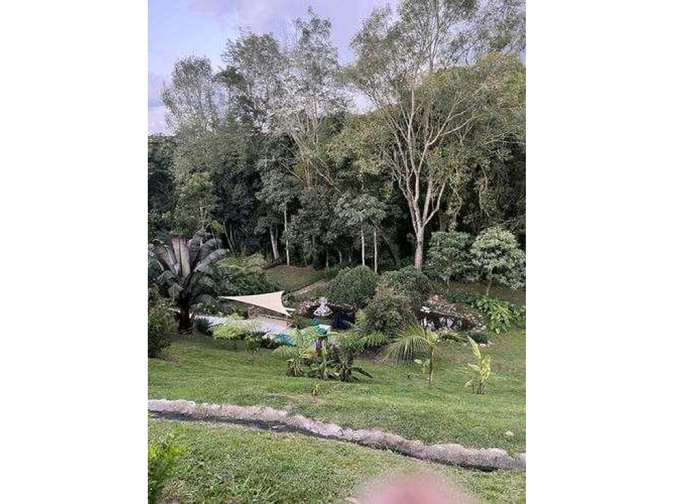 Se vende lote con cabaña en el carmen de Vivoral sector el Canadá — foto 2