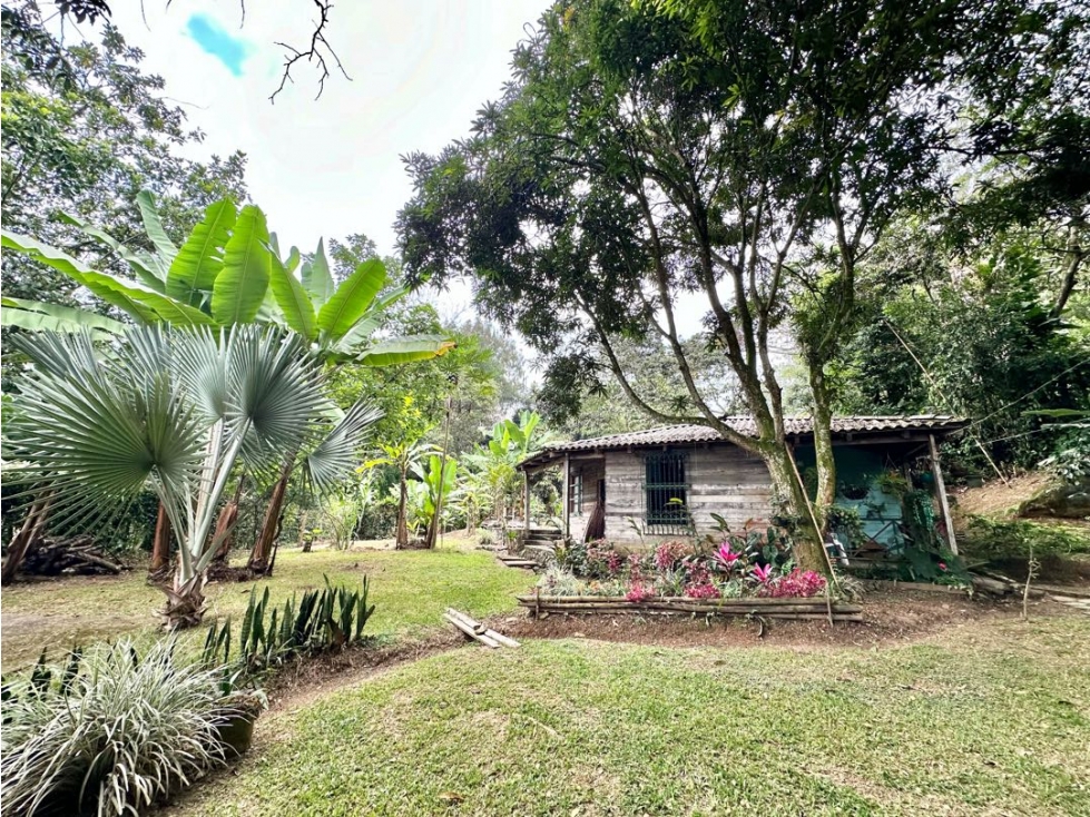 SE VENDE FINCA EN SANTANDER DE QUILICHAO CAUCA - 3