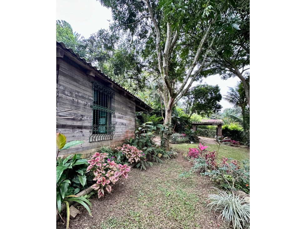 SE VENDE FINCA EN SANTANDER DE QUILICHAO CAUCA - 4