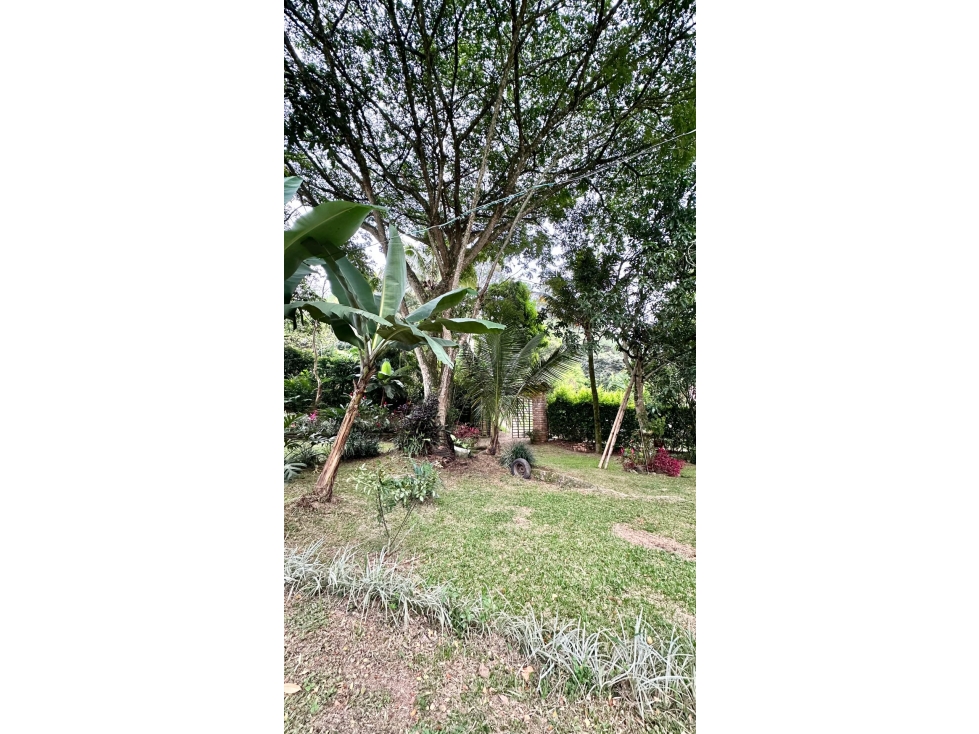 SE VENDE FINCA EN SANTANDER DE QUILICHAO CAUCA - 6