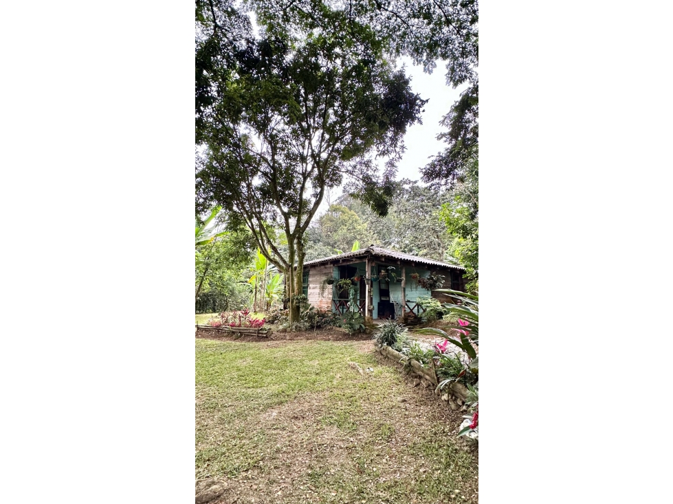 SE VENDE FINCA EN SANTANDER DE QUILICHAO CAUCA - 2