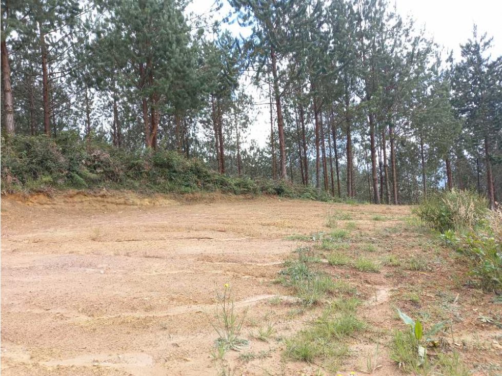 SE VENDE LOTE CON EXCELENTE VISTA LA VALLE DE SAN NICOLAS - CARMEN VIB