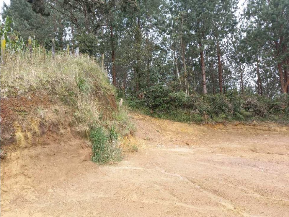 SE VENDE LOTE CON EXCELENTE VISTA LA VALLE DE SAN NICOLAS - CARMEN VIB — foto 2