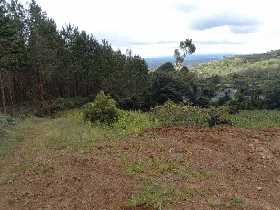 SE VENDE LOTE CON EXCELENTE VISTA LA VALLE DE SAN NICOLAS - CARMEN VIB — foto 3