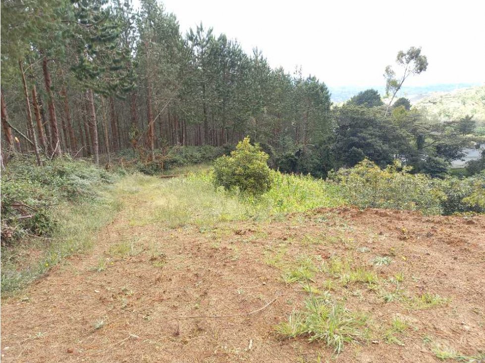 SE VENDE LOTE CON EXCELENTE VISTA LA VALLE DE SAN NICOLAS - CARMEN VIB — foto 4