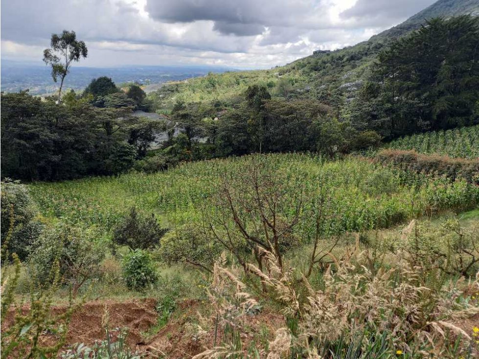 SE VENDE LOTE CON EXCELENTE VISTA LA VALLE DE SAN NICOLAS - CARMEN VIB — foto 5