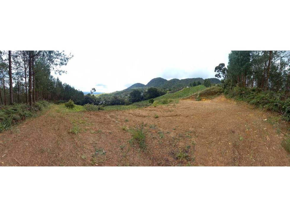 SE VENDE LOTE CON EXCELENTE VISTA LA VALLE DE SAN NICOLAS - CARMEN VIB — foto 6