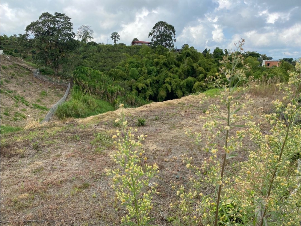 SE VENDE LOTE CONDINA PEREIRA — foto 5