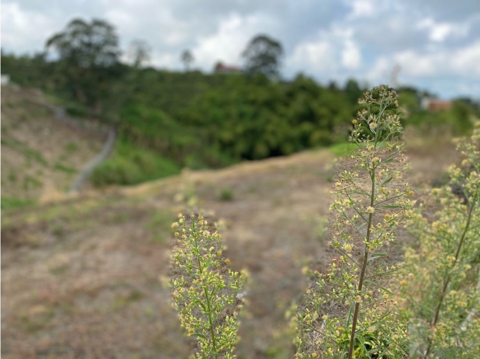 SE VENDE LOTE CONDINA PEREIRA — foto 6