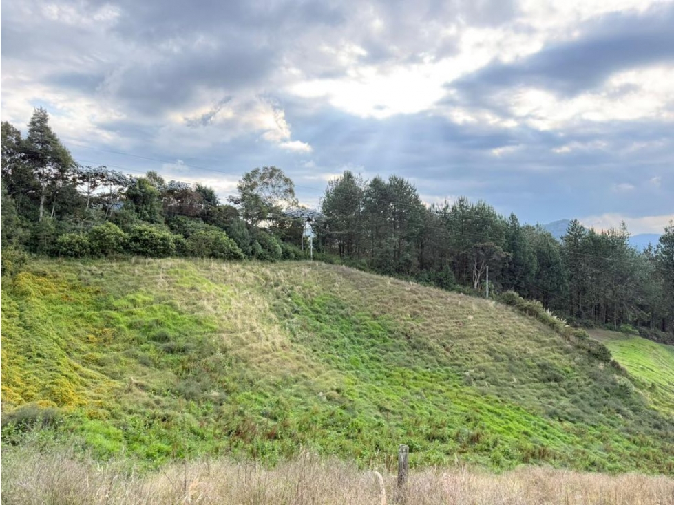 Se vende lote de 10.000 m2 en La Milagrosa en El Carmen de Viboral — foto 5