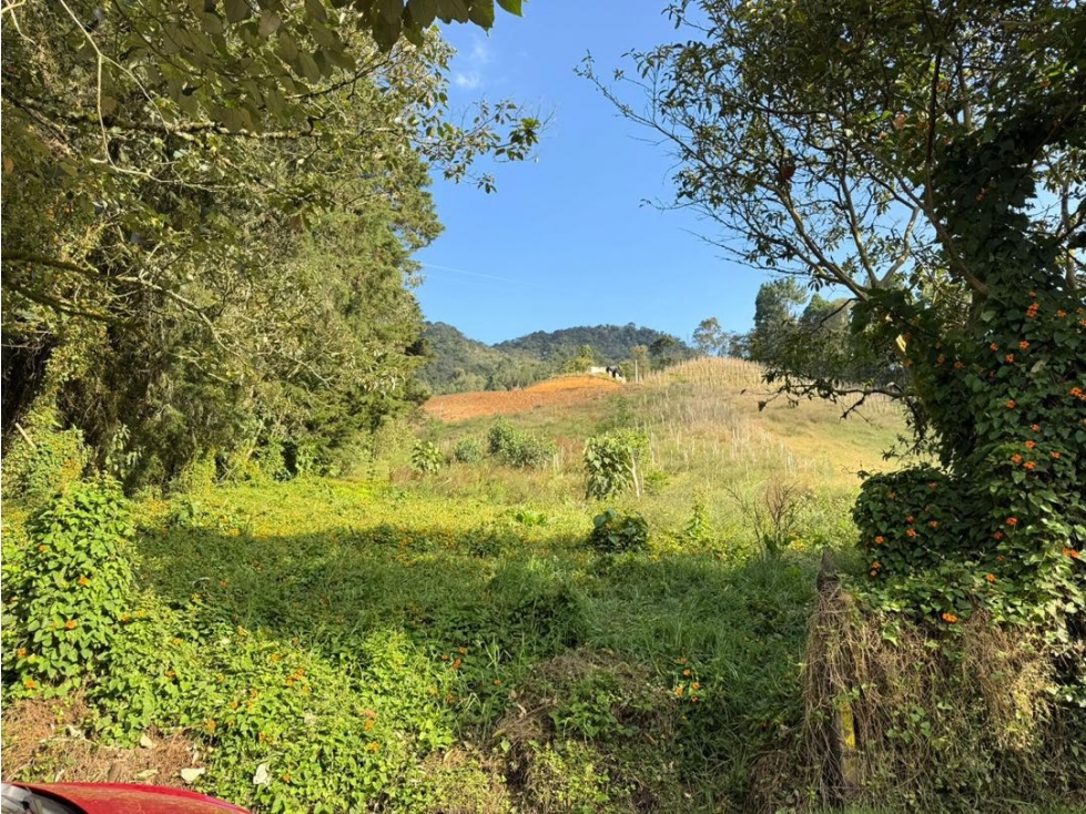 Se vende lote de 10.000 m2 en La Milagrosa en El Carmen de Viboral — foto 6