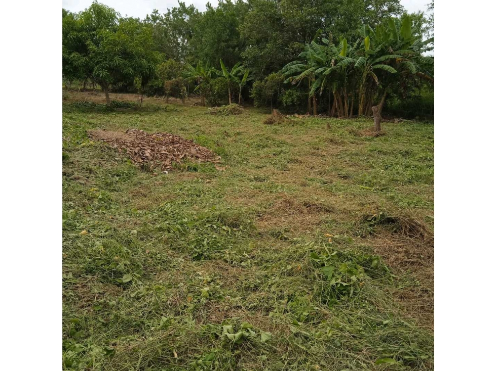 Se vende Lote de 1000 metros cuadrados medidas son : 40 x 25