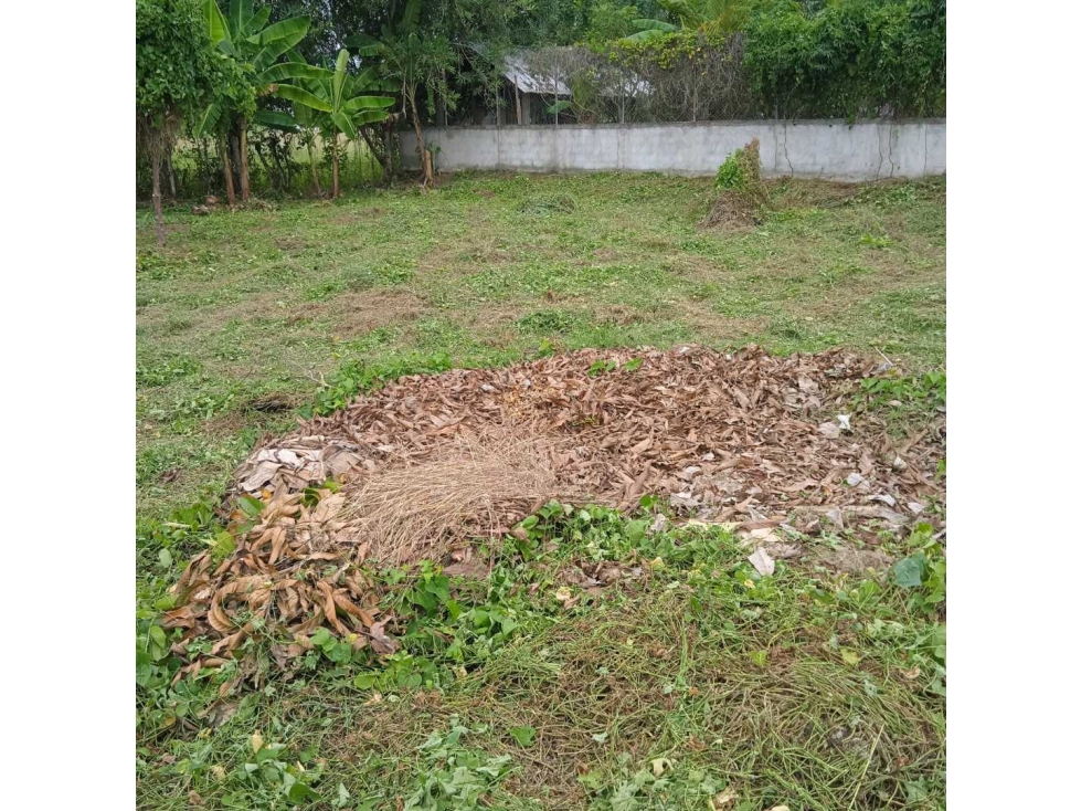 Se vende Lote de 1000 metros cuadrados medidas son : 40 x 25 — foto 2