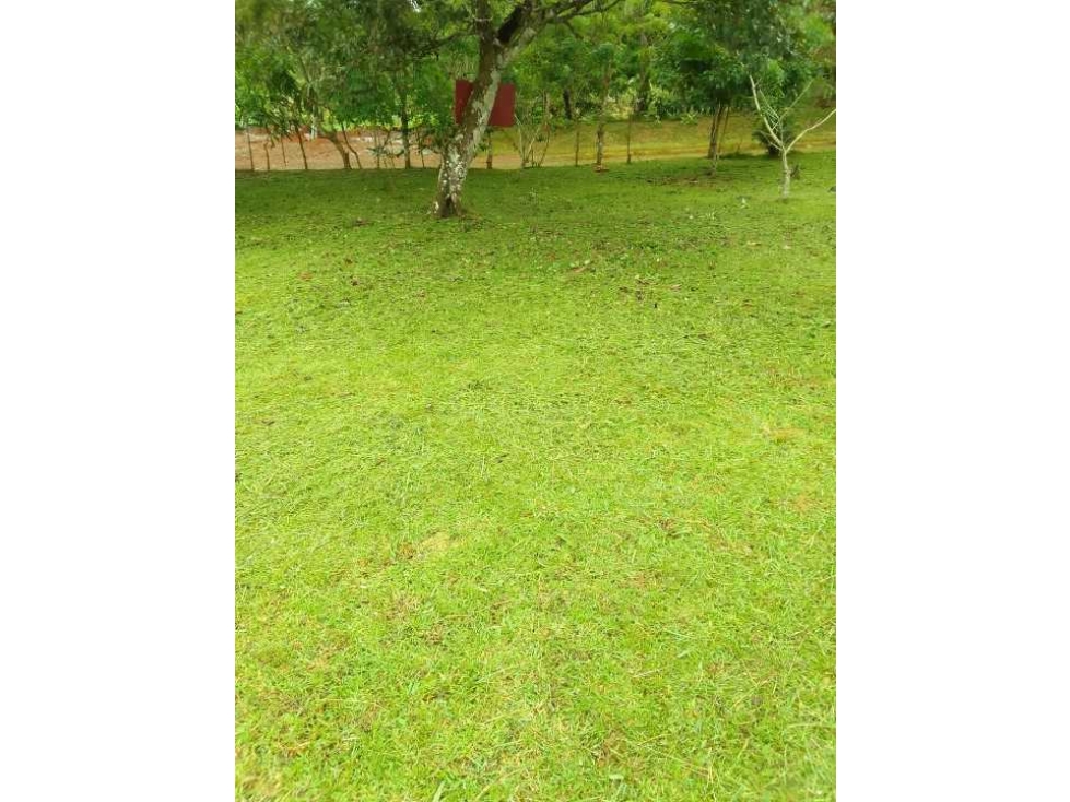 Se Vende Lote de 1000m2 en Nuevo Emperador - 2