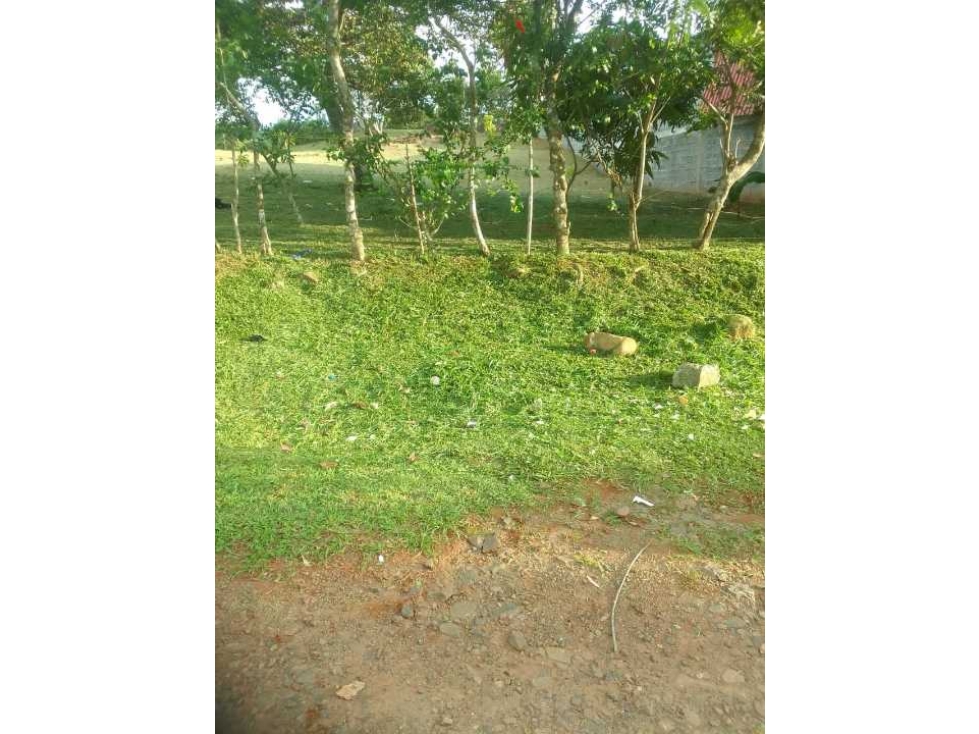 Se Vende Lote de 1000m2 en Nuevo Emperador - 3