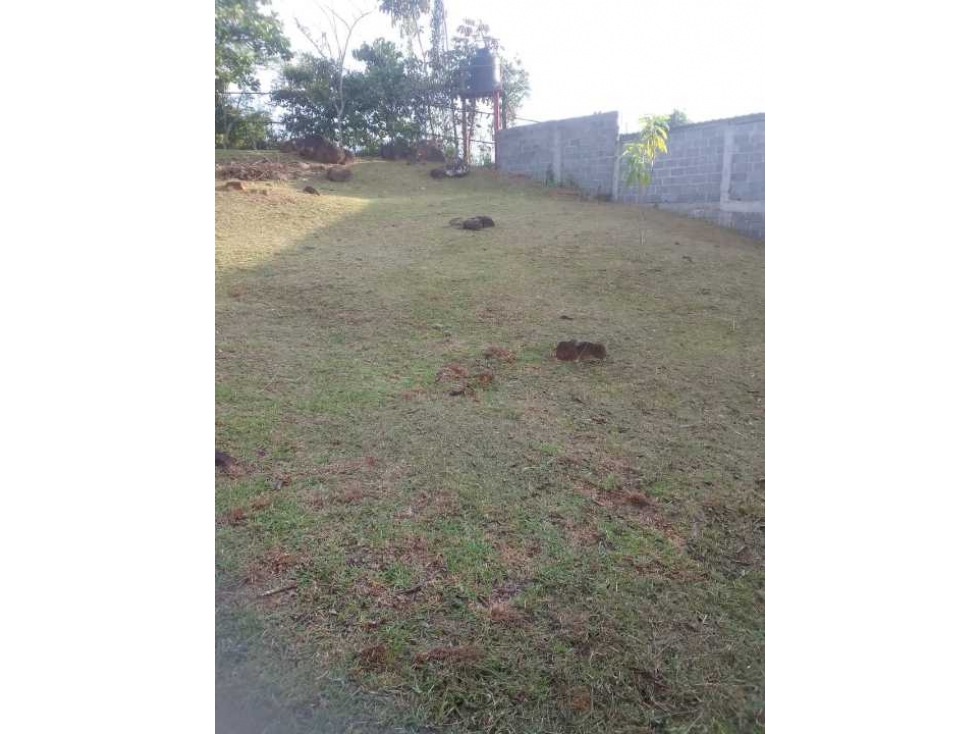 Se Vende Lote de 1000m2 en Nuevo Emperador - 4