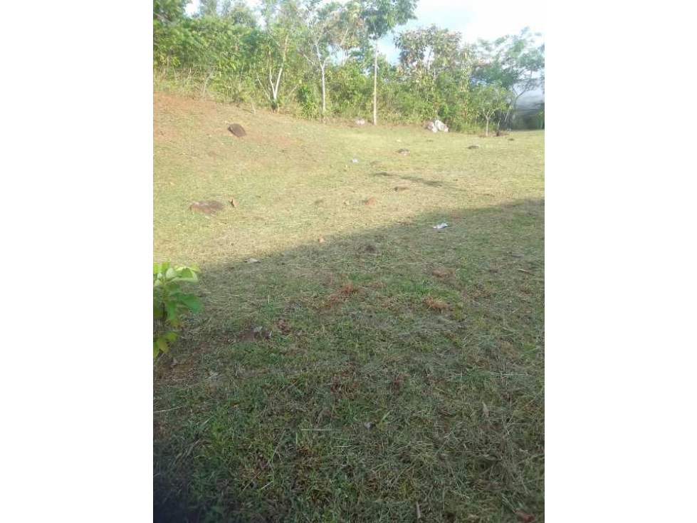 Se Vende Lote de 1000m2 en Nuevo Emperador - 5