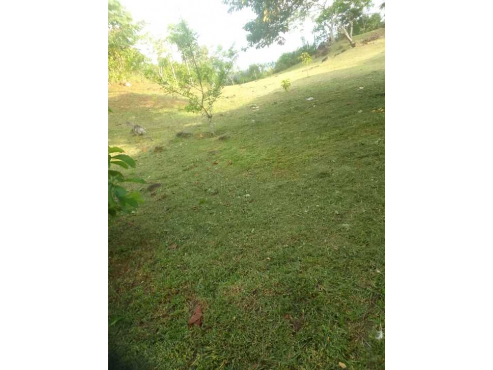 Se Vende Lote de 1000m2 en Nuevo Emperador - 6