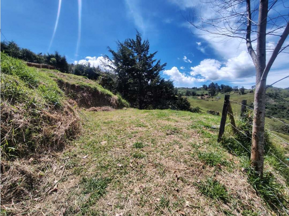 SE VENDE LOTE DE 1000M2 EN VEREDA MATASANO A SOLO MINUTOS DEL ALTO! — foto 5