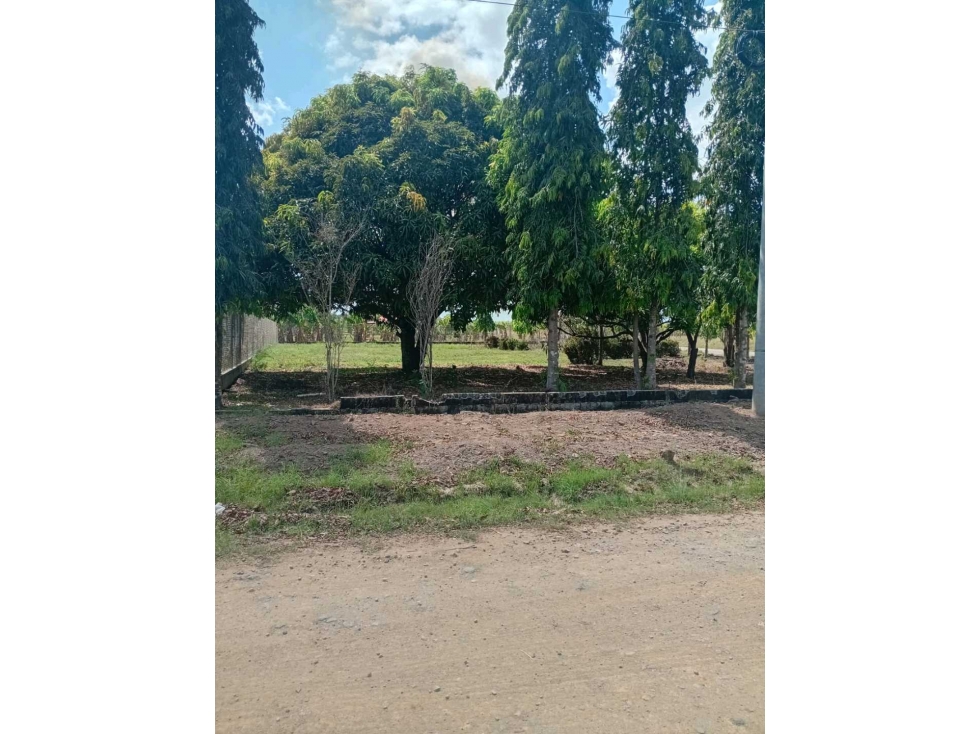 SE VENDE LOTE DE 1,000MTS EN SANTIAGO, MONTAÑUELA - 1