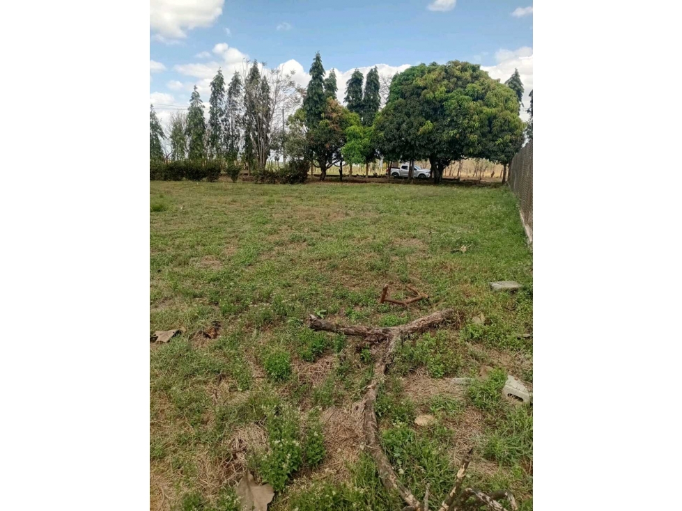 SE VENDE LOTE DE 1,000MTS EN SANTIAGO, MONTAÑUELA - 2