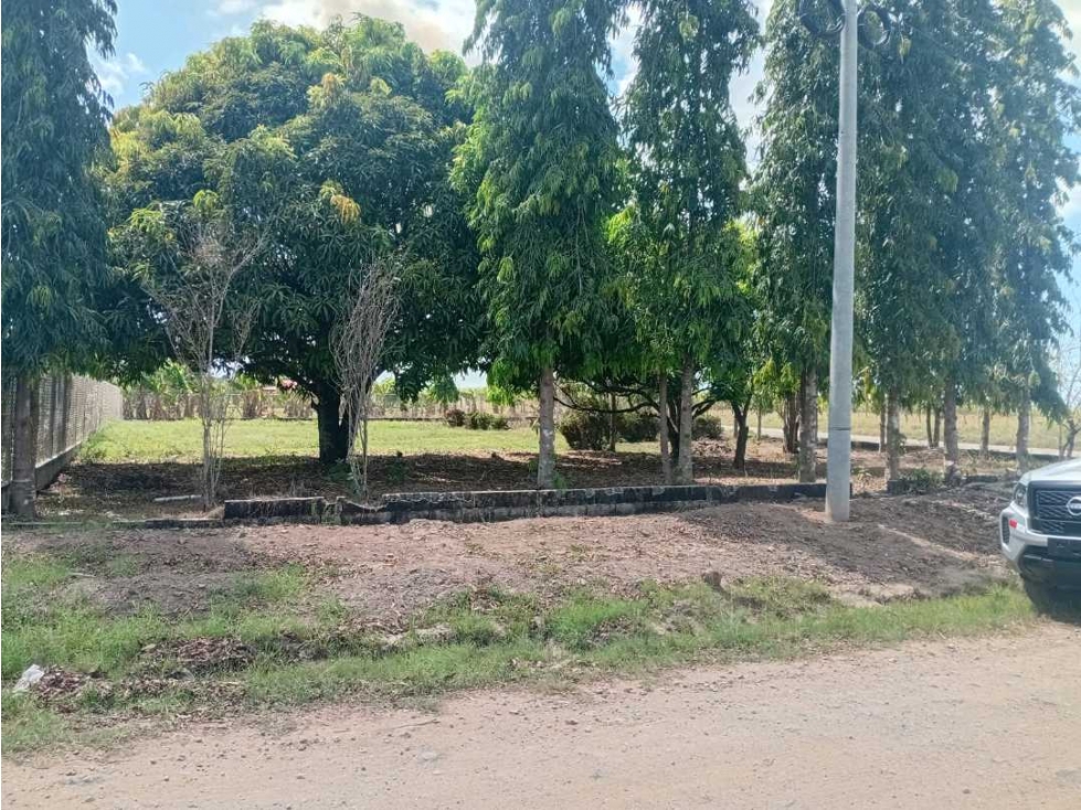 SE VENDE LOTE DE 1,000MTS EN SANTIAGO, MONTAÑUELA - 3