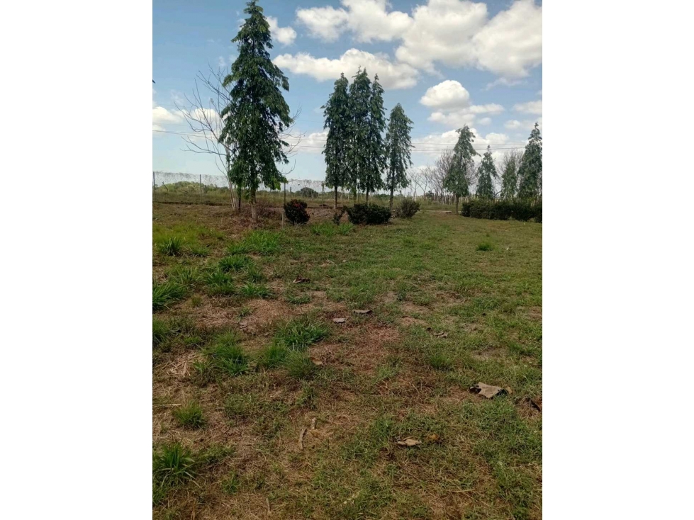 SE VENDE LOTE DE 1,000MTS EN SANTIAGO, MONTAÑUELA - 4