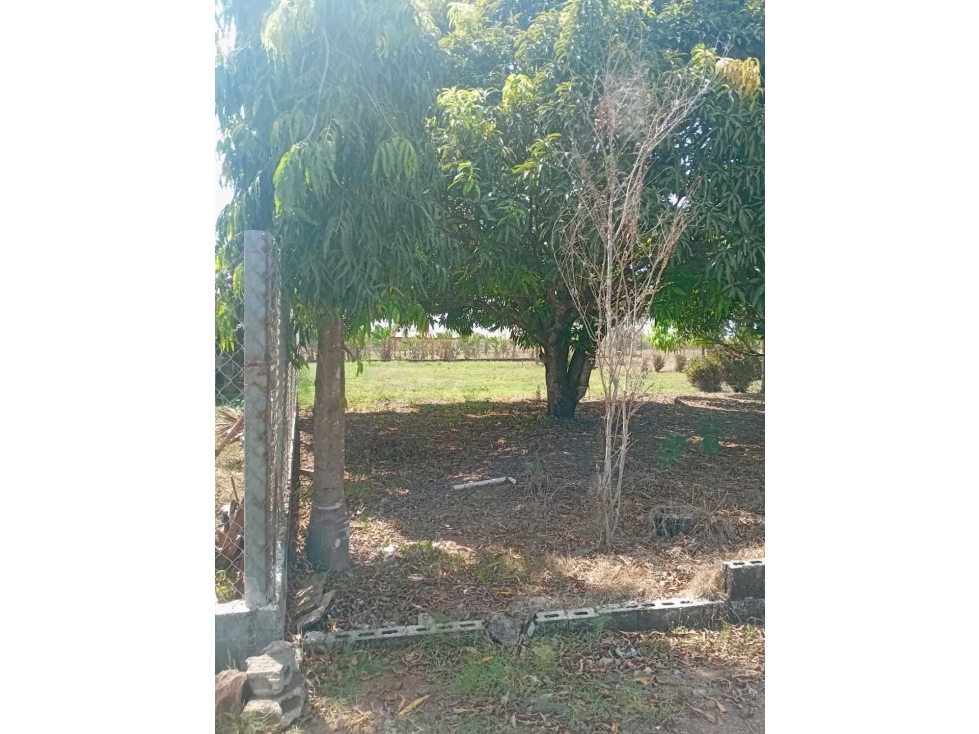 SE VENDE LOTE DE 1,000MTS EN SANTIAGO, MONTAÑUELA - 5