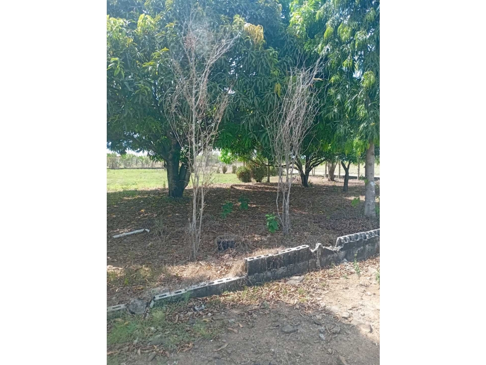 SE VENDE LOTE DE 1,000MTS EN SANTIAGO, MONTAÑUELA - 6
