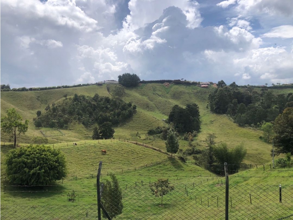 Se vende lote de 10 cuadras en Altogrande