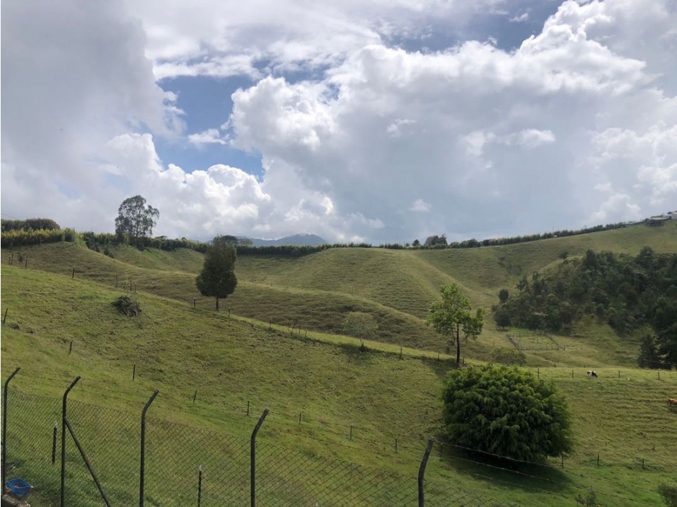 Se vende lote de 10 cuadras en Altogrande — foto 2