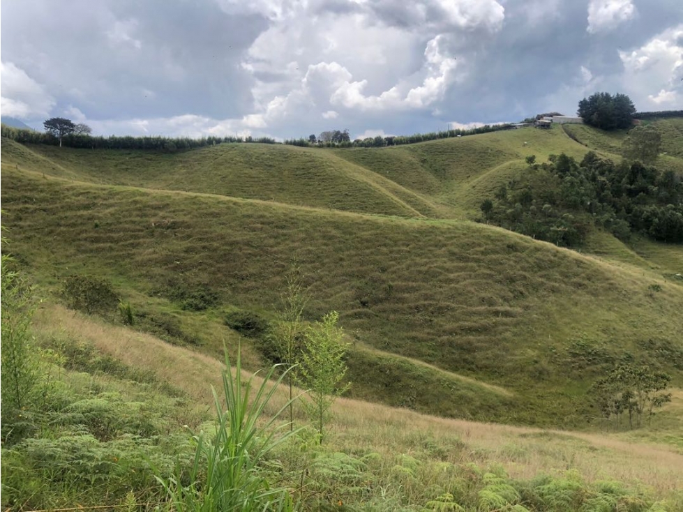 Se vende lote de 10 cuadras en Altogrande — foto 3