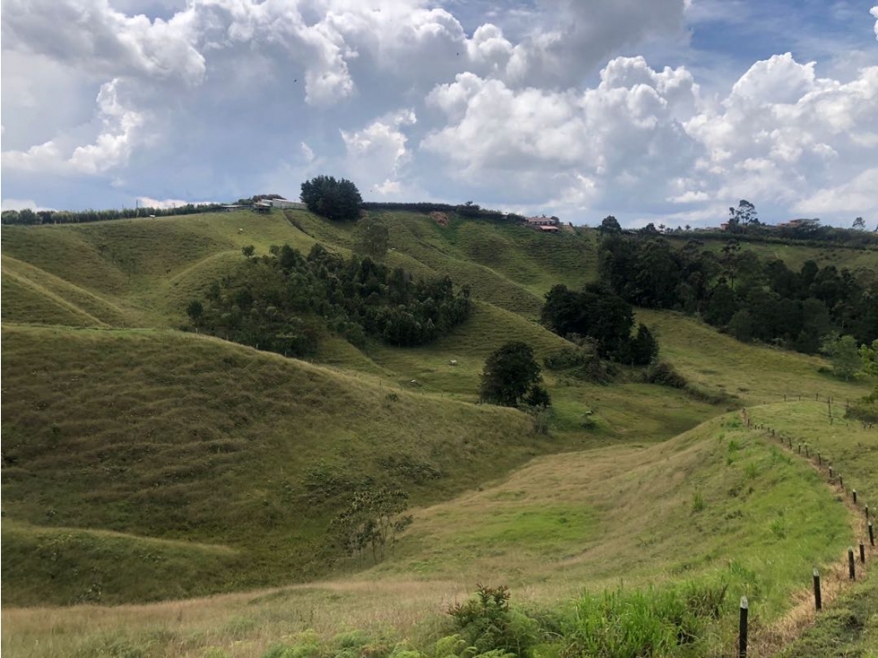 Se vende lote de 10 cuadras en Altogrande — foto 4