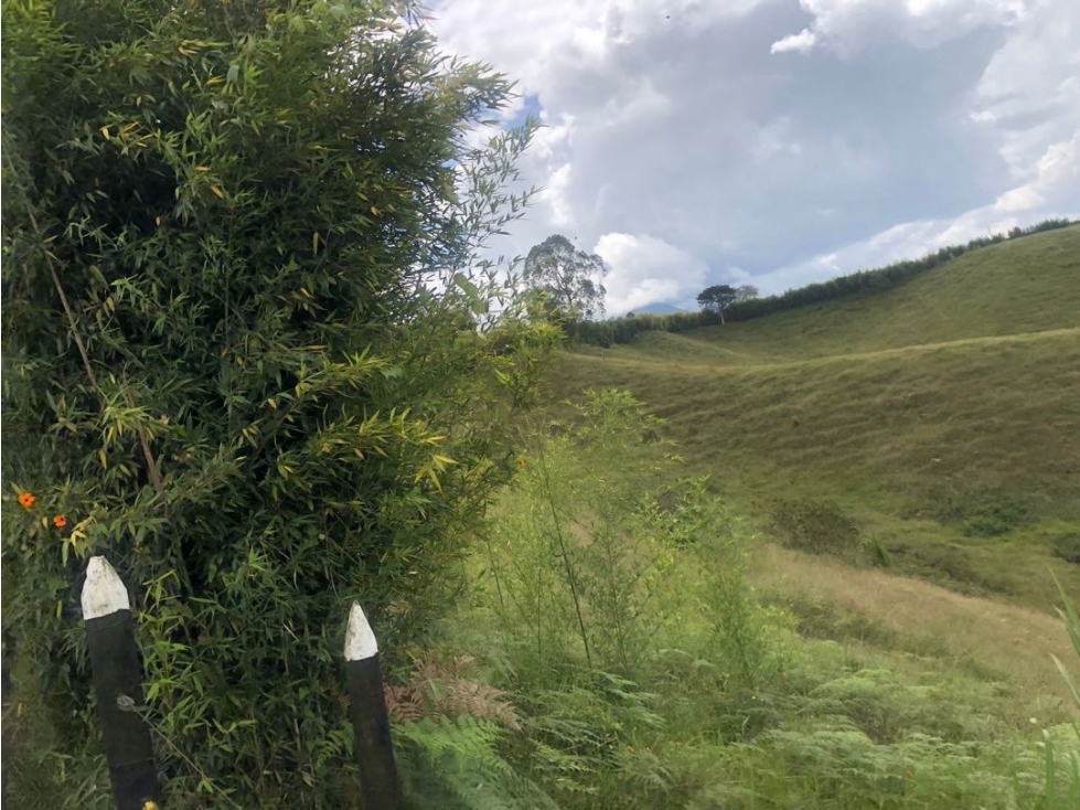 Se vende lote de 10 cuadras en Altogrande — foto 5