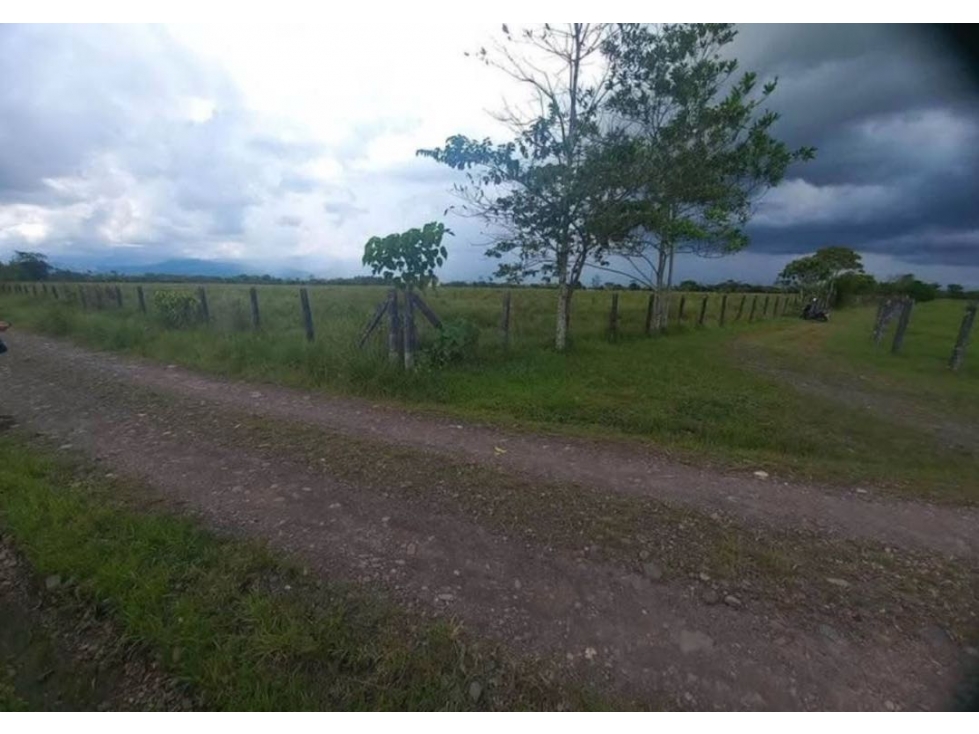 Se vende lote de 11 hectáreas / Restrepo - 4