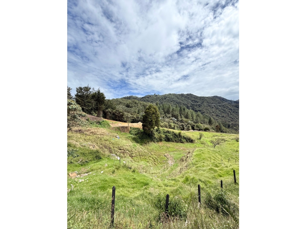 Se vende lote de 17.350 m2 en Boquerón, El Carmen de Viboral