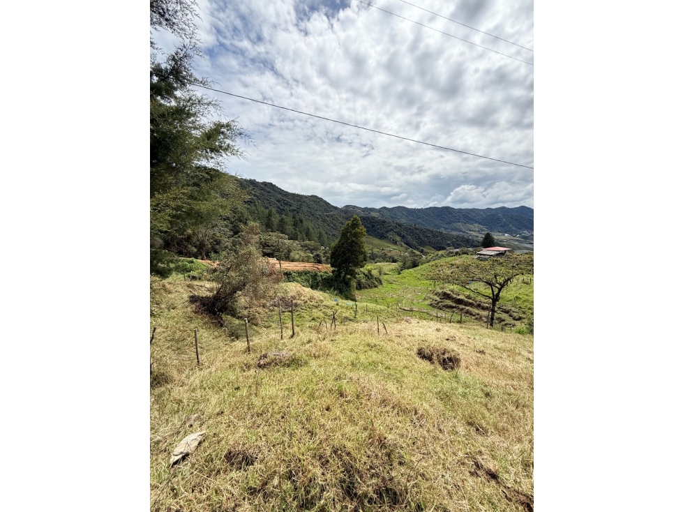 Se vende lote de 17.350 m2 en Boquerón, El Carmen de Viboral — foto 2