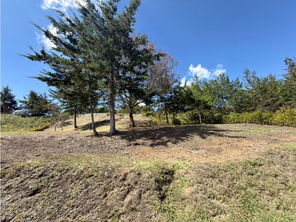 Se vende lote de 1.798 m² en Verde Campiña, vía San Antonio La Ceja — foto 6