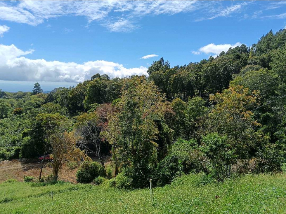 SE VENDE LOTE DE 3000M2 EN VOLCANCITO