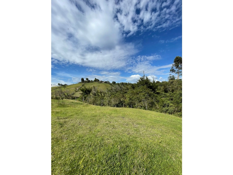 Se vende lote de 3.300 m2 en Altogrande, El Carmen de Viboral