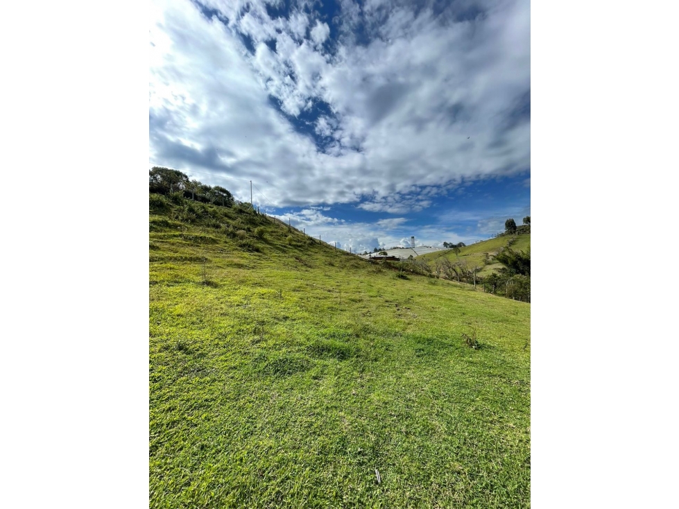 Se vende lote de 3.300 m2 en Altogrande, El Carmen de Viboral — foto 2