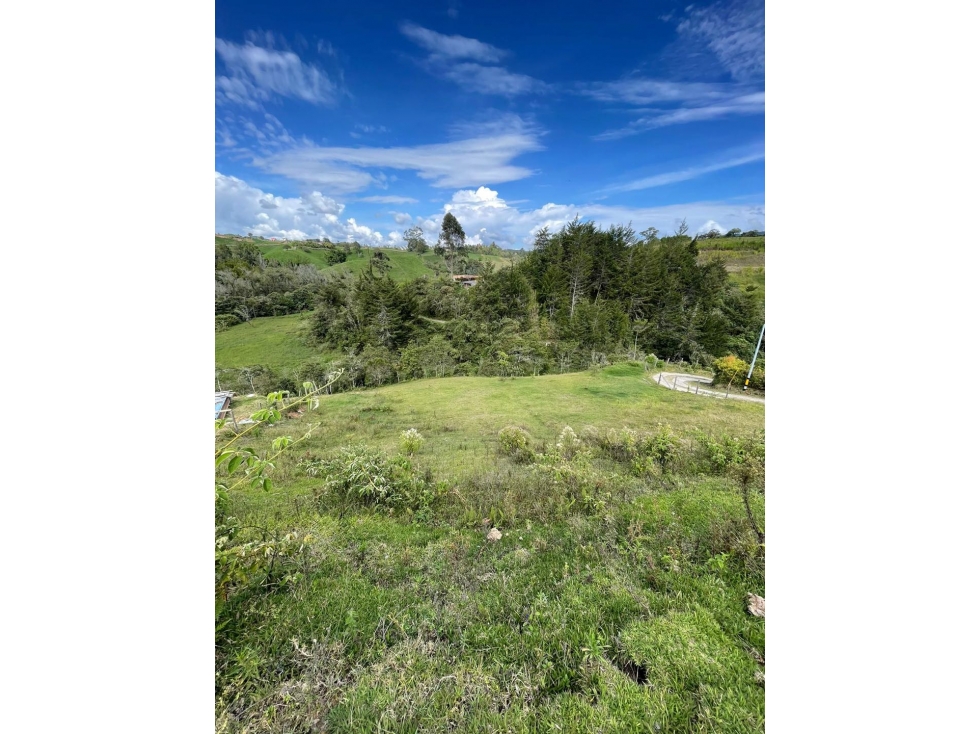 Se vende lote de 3.300 m2 en Altogrande, El Carmen de Viboral — foto 4