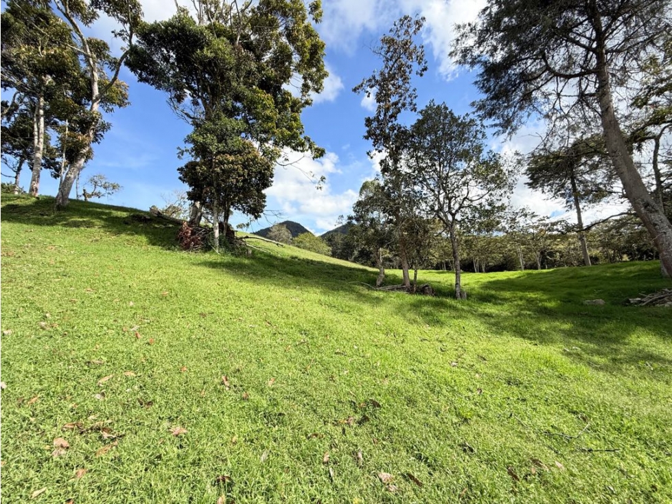 Se vende lote de 3.300 m2 en El Cerro, El Carmen de Viboral