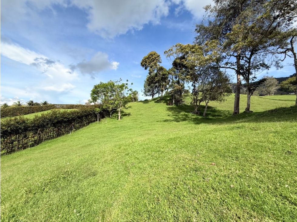 Se vende lote de 3.300 m2 en El Cerro, El Carmen de Viboral — foto 2