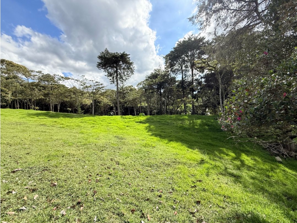 Se vende lote de 3.300 m2 en El Cerro, El Carmen de Viboral — foto 4