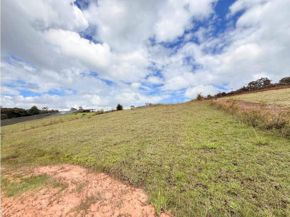 Se vende lote de 3.333 m2 en Aguas Claras, El Carmen de Viboral — foto 2