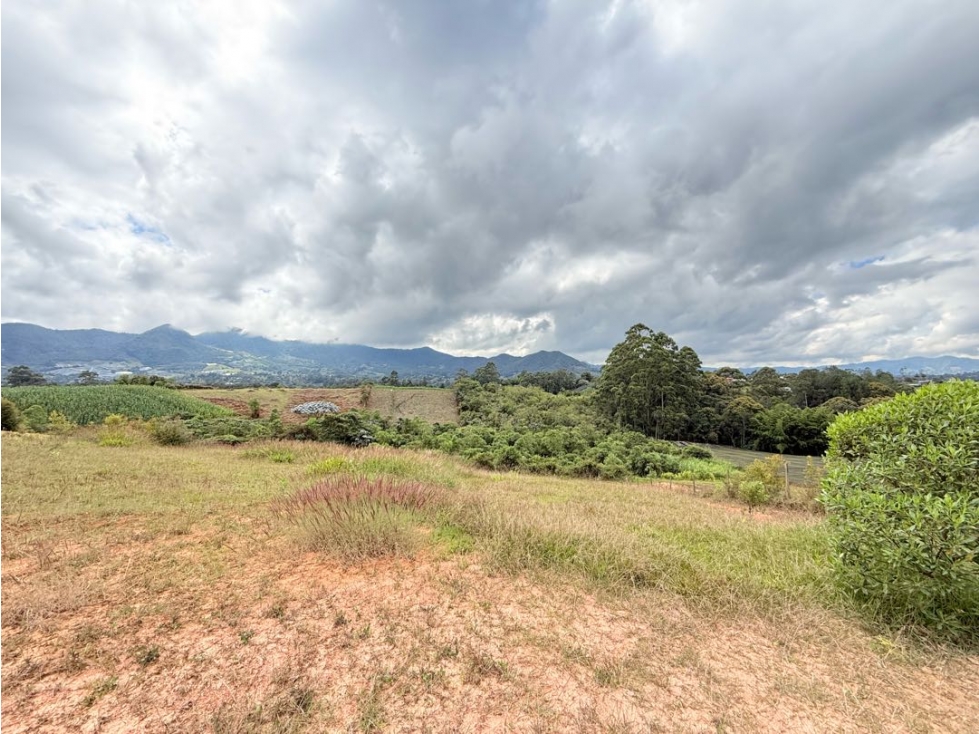 Se vende lote de 3.333 m2 en Aguas Claras, El Carmen de Viboral — foto 4