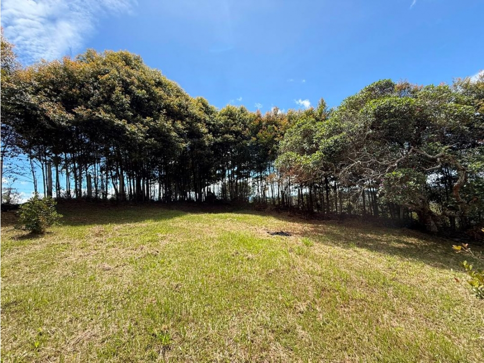 Se vende lote de 3.500 m2 con hermosa vista sector Aguas Claras — foto 6